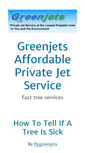 Mobile Screenshot of flygreenjets.com